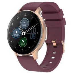SmartWatch Canyon Badian auriu, curea silicon, Visiniu