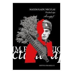 Pictand apa - Maxim Radu Niculai