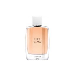 Aigner First Class Tester EDT 100 ml