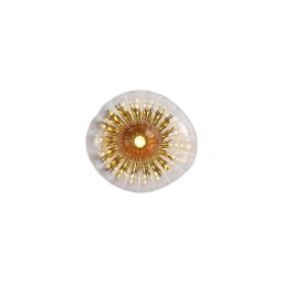 Aplica SUNBEAM 24122-1BK