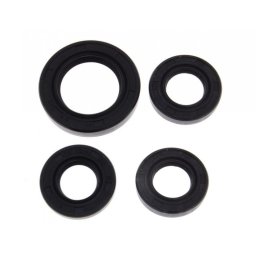 Set semeringuri motor GY6-50