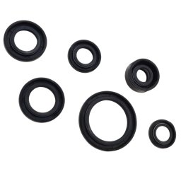Set semeringuri motor ATV 110