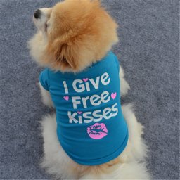 Tricou catei cu maneci scurte Kisses Albastru-7502.A