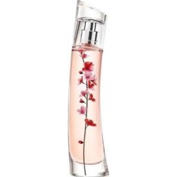 KENZO Flower By Kenzo Ikebana EDP 40ml