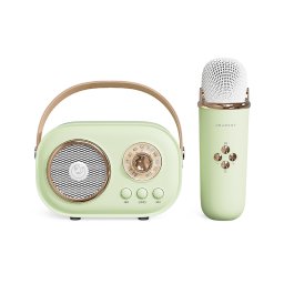 Aparat Karaoke Portabil iSEN C20 Plus, Verde, Microfon Wireless UHF, Bluetooth 5.0, Sunet HIFI, Anti-howling, Autonomie 2-4H, Aplicatii Multiple, Baterie 1000mAh 500mAh, Incarcare Type-C