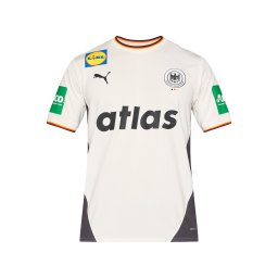 PUMA Tricot 'AW25 DHB Home' albastru deschis / gri / verde / alb
