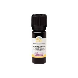 Ulei Esential de Eucalipt, 10 ml Argital Gold