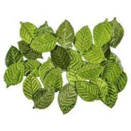 Set Frunze din Satin, pentru Artizanat, Statovac, 30 Bucati