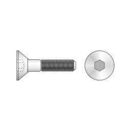 Set 100 x Surub Cap Inecat Locas Inbus 7991 Inox A2-M6 X 10