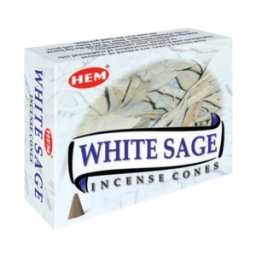 Set 9 x Conuri Parfumate, Salvie Alba