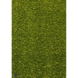 Covor Dreptunghiular, 80 x 150 cm, Verde, Kolibri 11000/130