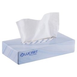 Servetele Faciale Biodegradabile Compostabile de Hartie Albe, Cutie, 2 Straturi, 100 Bucati, Lucart