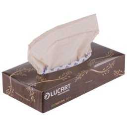 Set 3 x 100 Servetele Faciale Biodegradabile Compostabile de Hartie, Cutie, 2 Straturi, Lucart Econatural