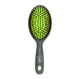 Perie Rotunda pentru Par, Beter Deslia Bright Day