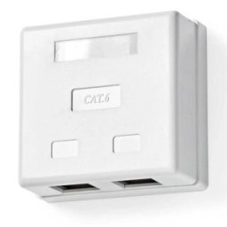 Set 2 x Priza de Perete U/TP Cat 6 2 x RJ45 Mama, Contacte aurite, Alb, Nedis