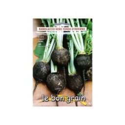 Seminte de Ridichi Negre de Iarna, Tondo d'Inverno, 100 g, Raci Sementi