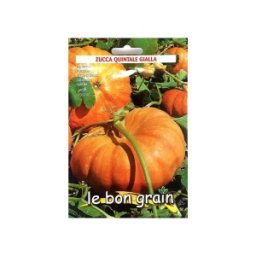 Seminte de Dovleac Placintar, Quintale Gialla, 500 g, Raci Sementi