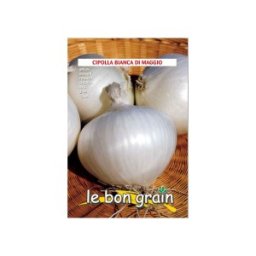 Seminte de Ceapa Apa, Bianca Di Maggio, 100 g, Raci Sementi