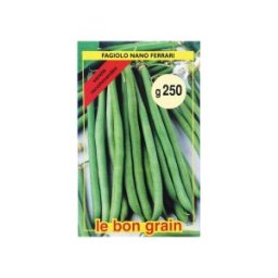 Seminte de Fasole Verde Fideluta, Ferrari, 1 kg, Raci Sementi