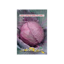 Seminte de Varza Rosie, Capatana Rotunda, Testa di Negro, 100 g, Raci Sementi