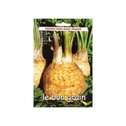 Seminte de Telina, Giant Prague, 100 g, Raci Sementi