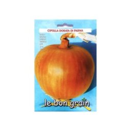 Seminte de Ceapa Aurie, Dorata di Bologna, 500 g, Raci Sementi