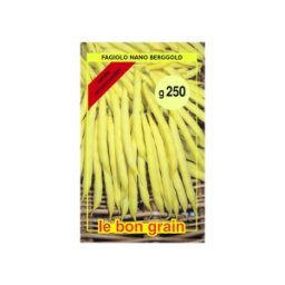 Seminte de Fasole Galbena Fideluta, Berggold, 1 kg, Raci Sementi