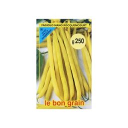 Seminte de Fasole Galbena Fideluta, Rocquencourt, 250 g, Raci Sementi
