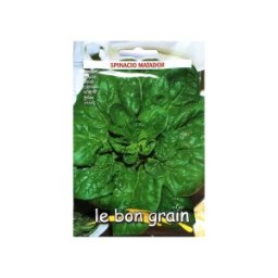 Seminte de Spanac, Matador, 100 g, Raci Sementi