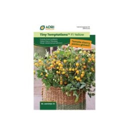 Seminte de Rosii Cherry Galbene, Cultivare la Ghiveci, 12 Seminte