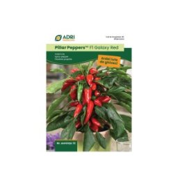 Set 2 x Seminte de Ardei Iute pentru Cultivare la Ghiveci, F1 Galaxy, 12 Seminte
