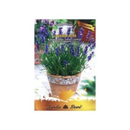 Set 4 x Seminte de Lavanda, 0.5 g, Raci Sementi