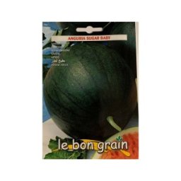 Set 5 x Seminte de Pepene Verde, Sugar Baby, 4 g, Raci Sementi