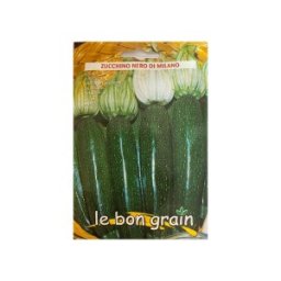 Set 5 x Seminte de Dovlecei Verde Inchis, Nero Di Milano, 10 g, Raci Sementi