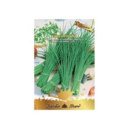 Set 4 x Seminte de Ceapa de Tuns, Chives, 1 g, Raci Sementi