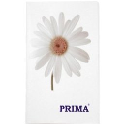 Set 4 x Caiet Prima, 50 Pagini, Format A6