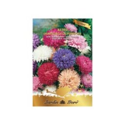 Set 4 x Seminte Flori, Ochiul Boului Gigante della California, 2 g, Amestec Multicolor