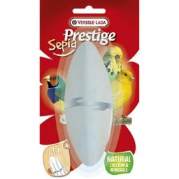 Os sepie papagali 12 cm