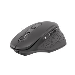 Mouse NMY-1610, USB Wireless/Bluetooth, 3200 DPI, Negru