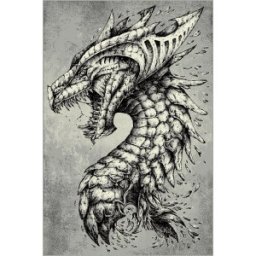 Covor Dreptunghiular, 160 x 230 cm, Gri, Kolibri Dragon 11611