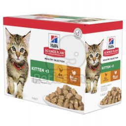 Hill's Science Plan Kitten - Selecție de pasăre 12 x 85 g