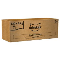 WHISKAS Adult în aspic 120x85 g hrană umedă pisici adulte, festin pasăre