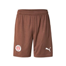 PUMA Pantaloni sport 'FC St. Pauli 25/26' maro închis / sângeriu / alb