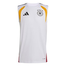 ADIDAS PERFORMANCE Tricot 'DFB TR SL JSY' alb