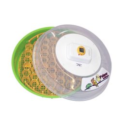 Incubator oua Puisor Exotic IO-203