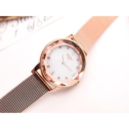 Ceasuri dama Watches 33 ELEMENT LADIES 331716