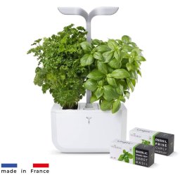 Véritable Exky CLASSIC - alb + 2 umpluturi cu ierburi - Ghiveci de flori automat