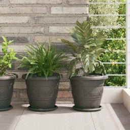 Tava rotunda pentru flori 6 pcs Negru Ø 14 x 2 cm Plastic GartenMobel Dekor