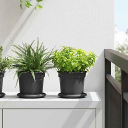 Tava rotunda pentru flori 24 pcs Negru Ø 14 x 2 cm Plastic GartenMobel Dekor