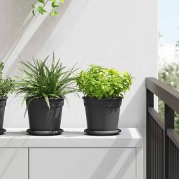 Tava rotunda pentru flori 24 pcs Negru Ø 14 x 2 cm Plastic GartenMobel Dekor